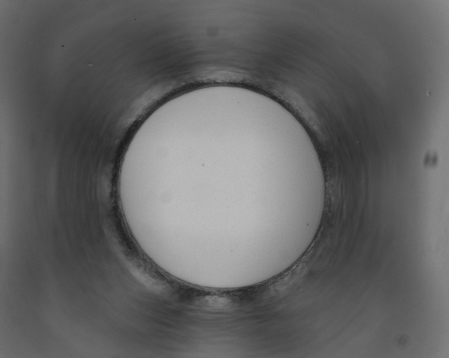 X0000091990159200710041137