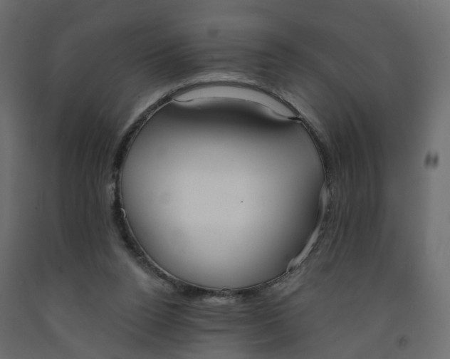 X0000091990160200710041137
