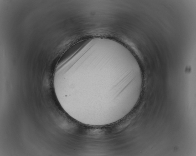 X0000091990161200710041137