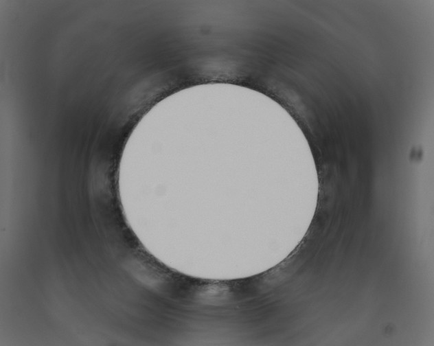 X0000091990162200710041137