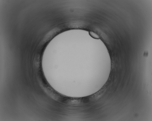 X0000091990163200710041137