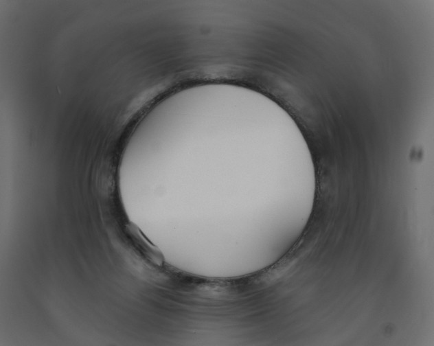 X0000091990164200710041137
