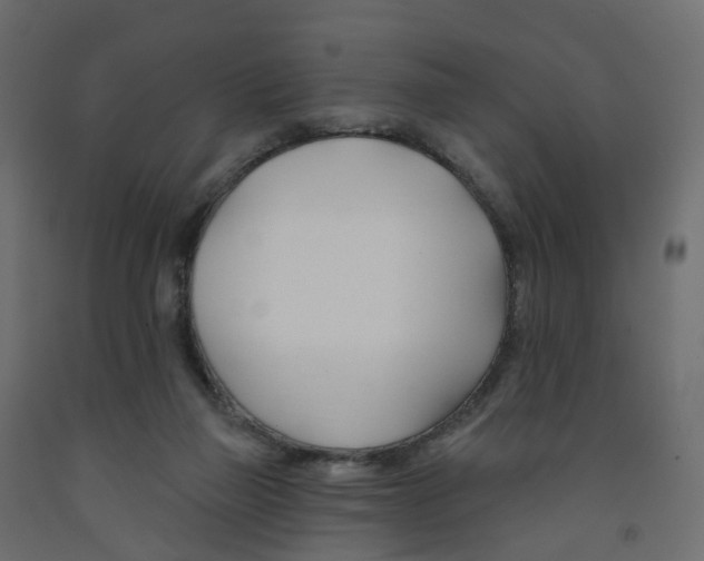 X0000091990165200710041137