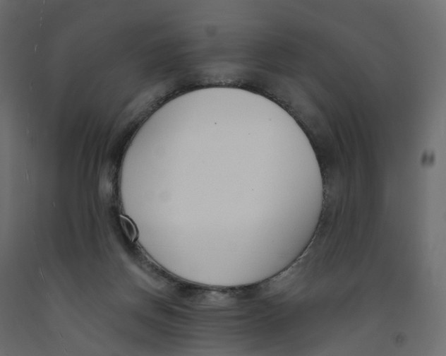 X0000091990166200710041137
