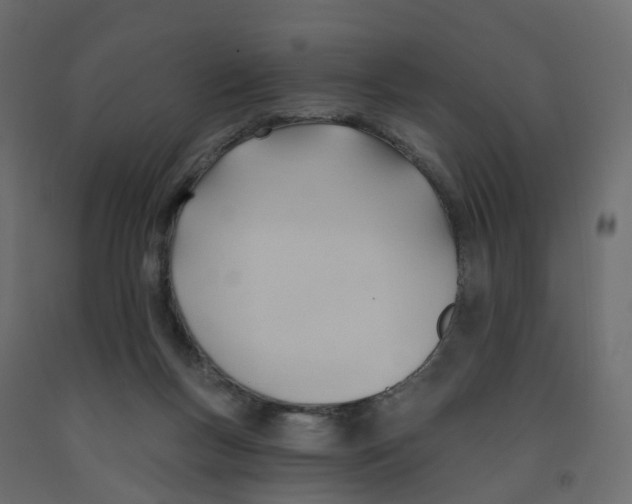 X0000091990167200710041137