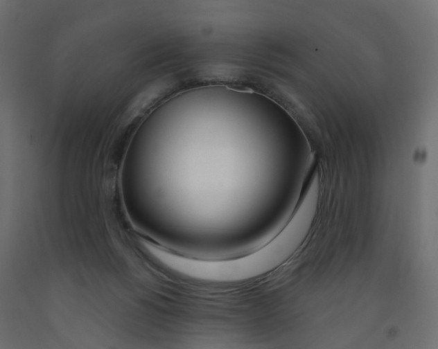 X0000091990168200710041137