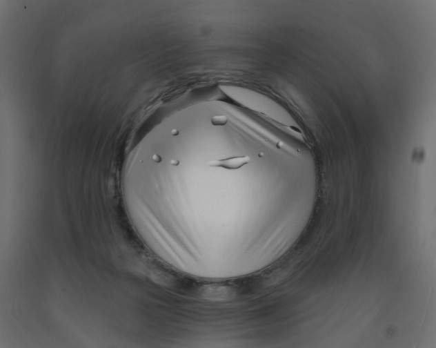 X0000091990169200710041137
