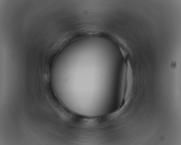 X0000091990170200710041137