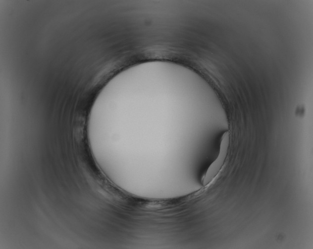 X0000091990171200710041137