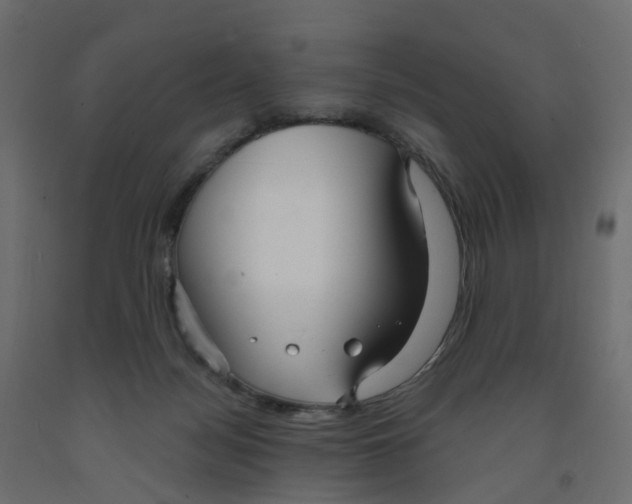X0000091990172200710041137