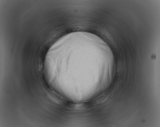 X0000091990173200710041137