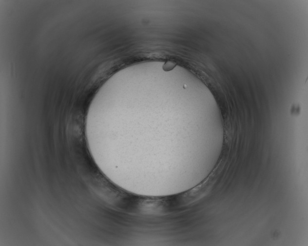 X0000091990175200710041137