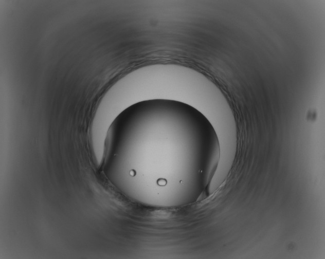 X0000091990176200710041137
