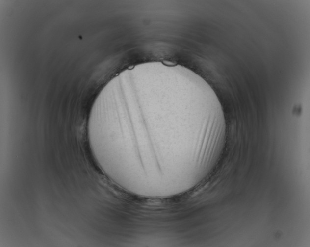 X0000091990177200710041137