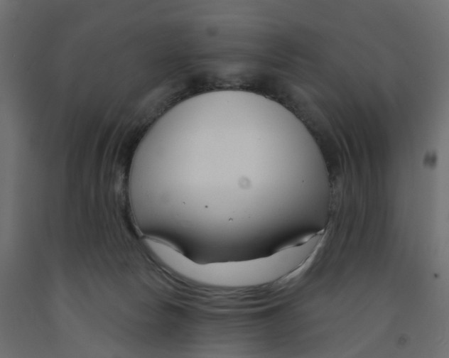 X0000091990178200710041137