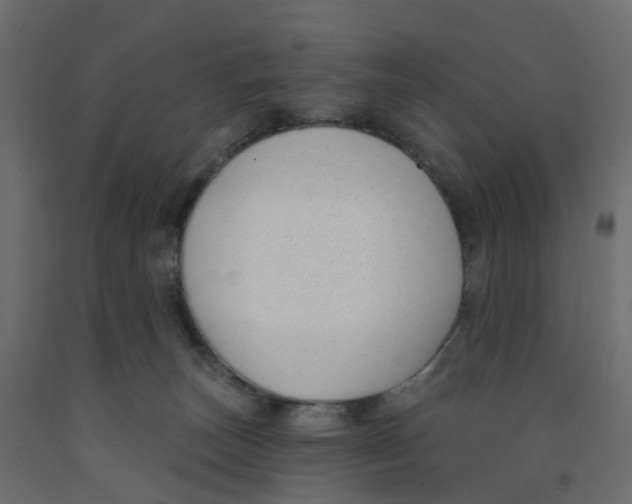 X0000091990179200710041137