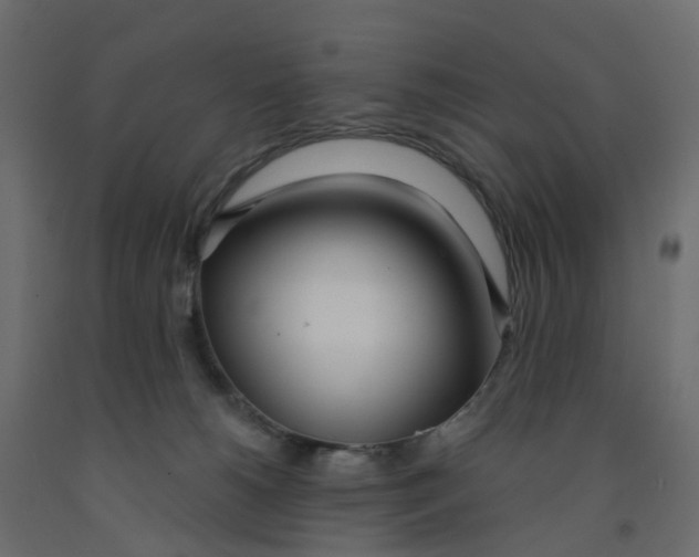 X0000091990180200710041137