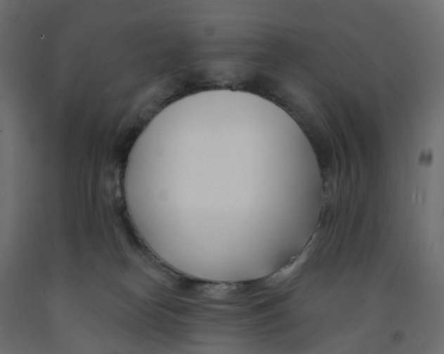 X0000091990182200710041137
