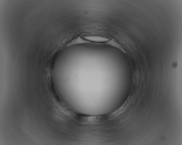 X0000091990184200710041137