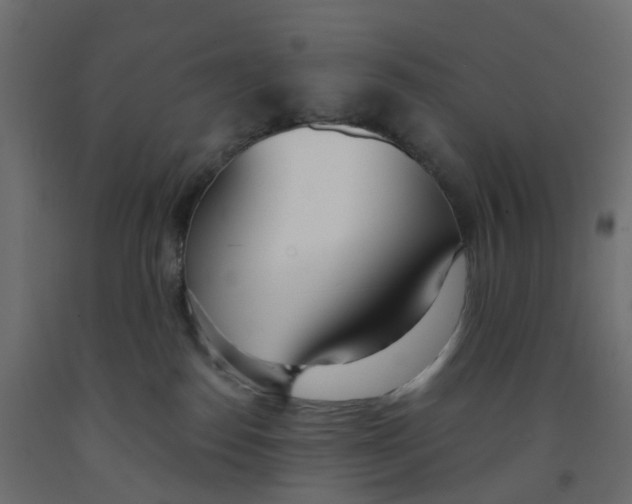 X0000091990186200710041137