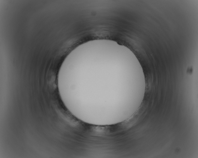 X0000091990187200710041137