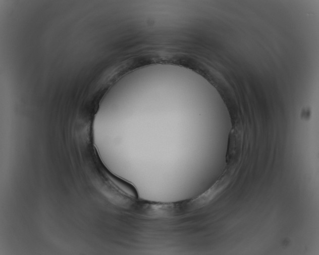 X0000091990188200710041137
