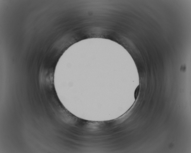 X0000091990190200710041137