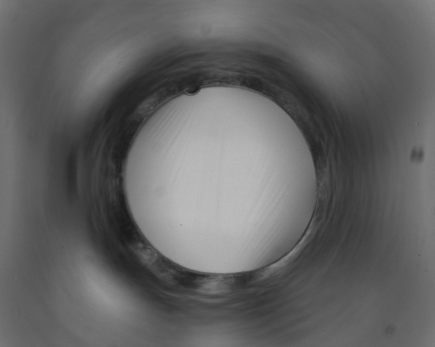 X0000091990191200710041137