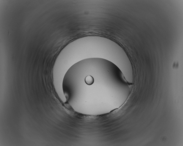 X0000091990192200710041137