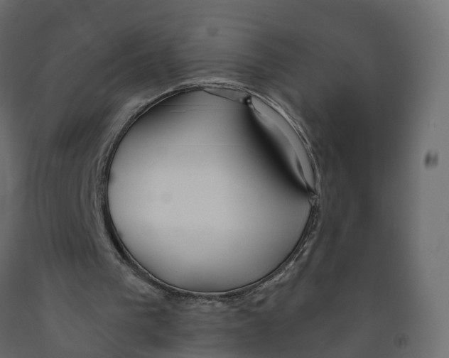 X0000091990193200710041136