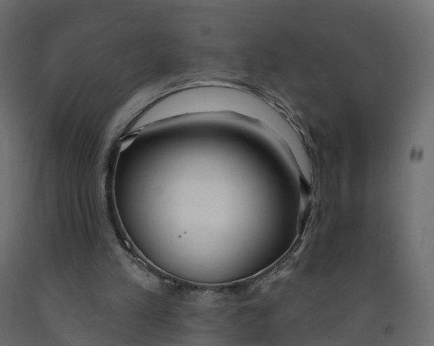 X0000091990197200710041136