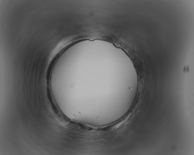 X0000091990198200710041136
