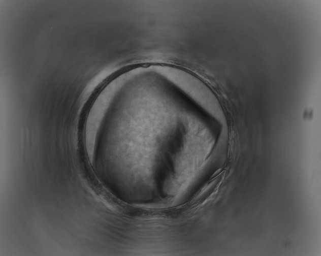 X0000091990200200710041136