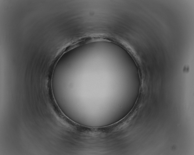 X0000091990201200710041136
