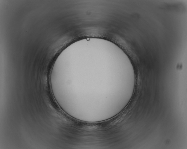 X0000091990202200710041136