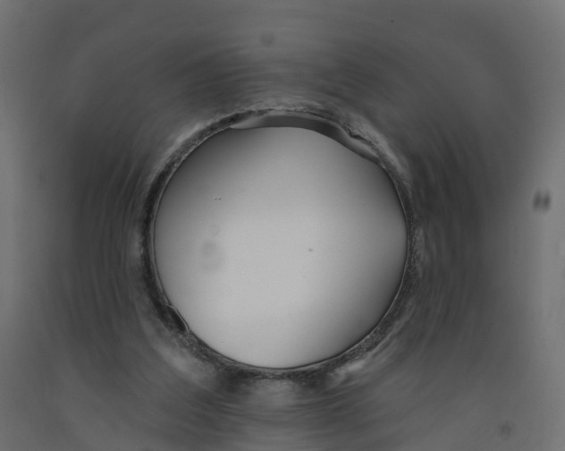X0000091990203200710041136