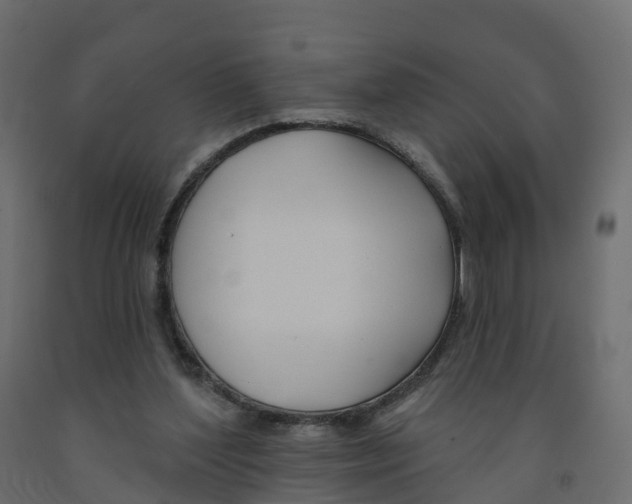 X0000091990204200710041136