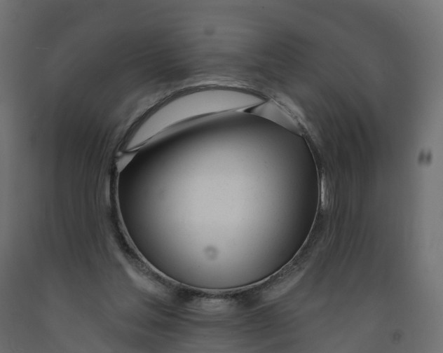 X0000091990205200710041136
