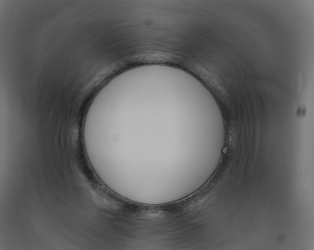 X0000091990206200710041136