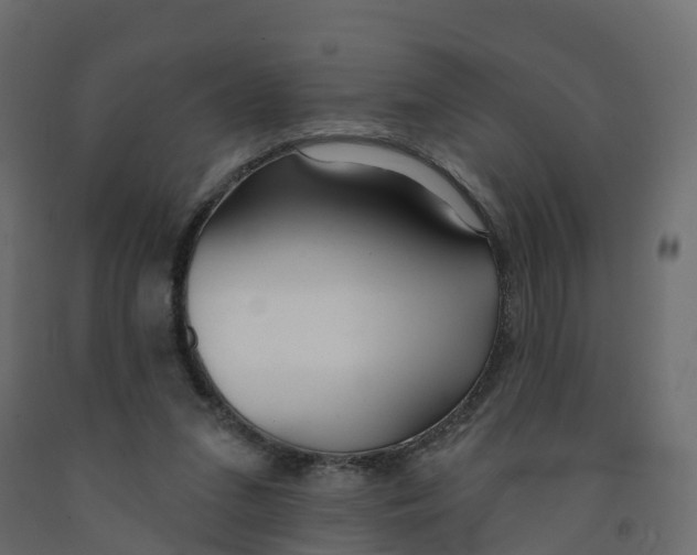 X0000091990207200710041136