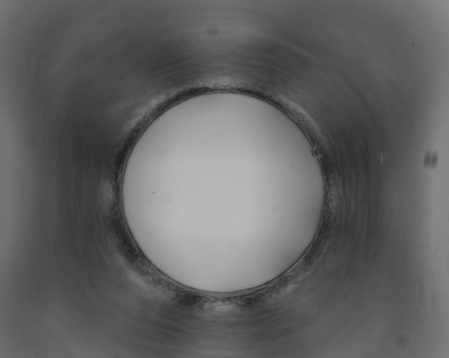 X0000091990208200710041136