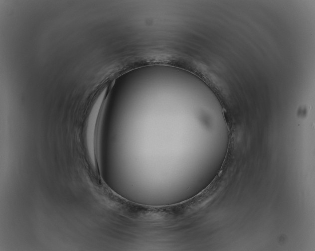 X0000091990209200710041136