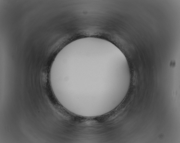 X0000091990210200710041136