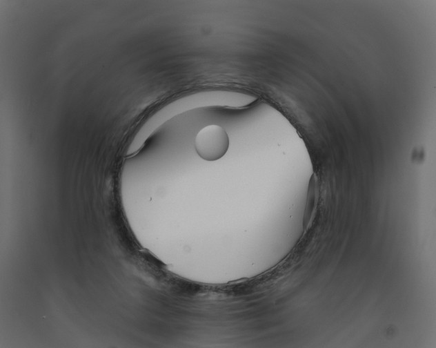 X0000091990211200710041136