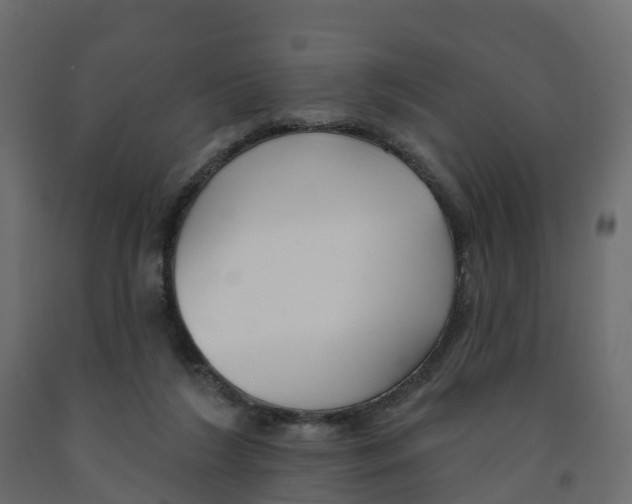 X0000091990212200710041136