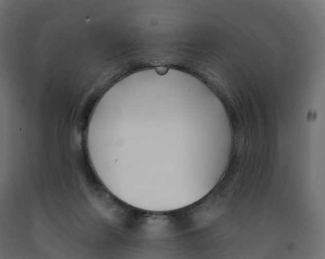 X0000091990214200710041136