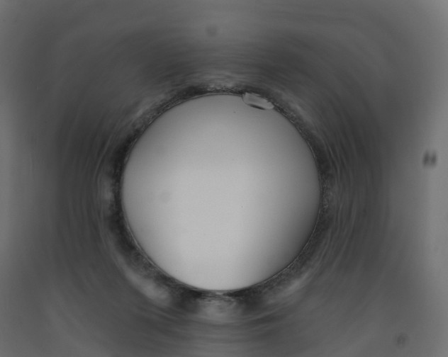 X0000091990215200710041136