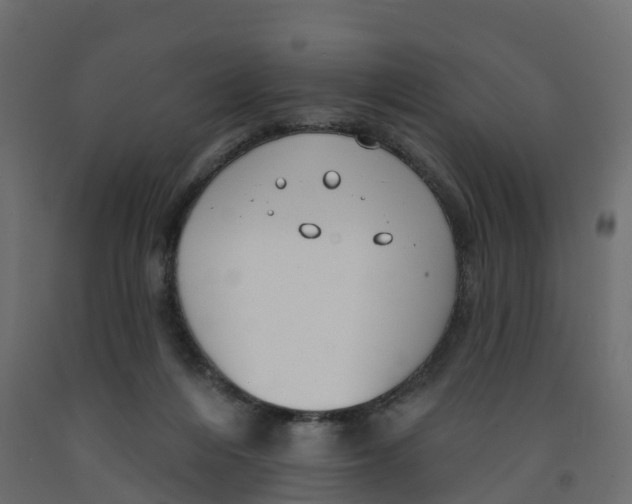 X0000091990216200710041136