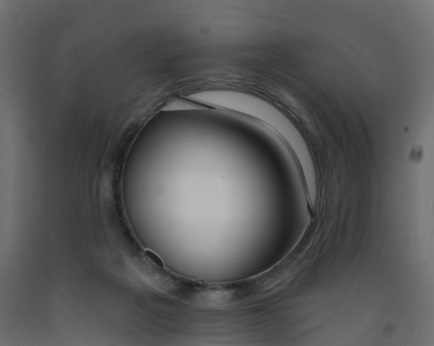 X0000091990217200710041136