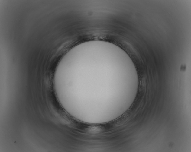 X0000091990218200710041136